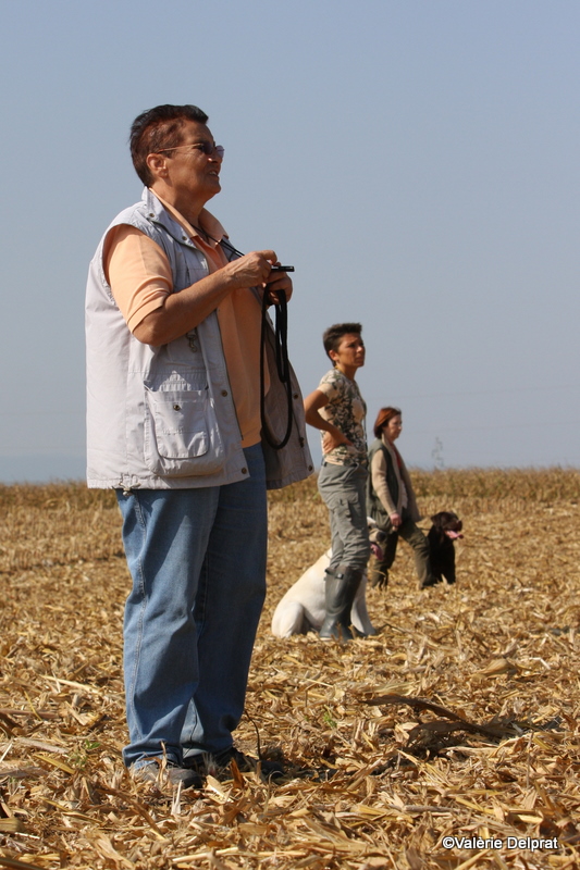 Field Erstein 09 (75).JPG
